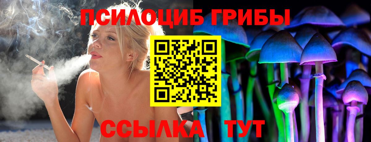 Кстово  Псилоцибиновые грибы мухоморы  цена наркотик  Галлюциногенные грибы Psilocybine cubensis  Вход с VPN 